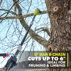 18V ONE+ 8" POLE SAW KIT